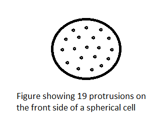Figure of a Spherical Cell.png